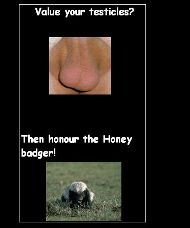 honey badger. Honey badgers rule!